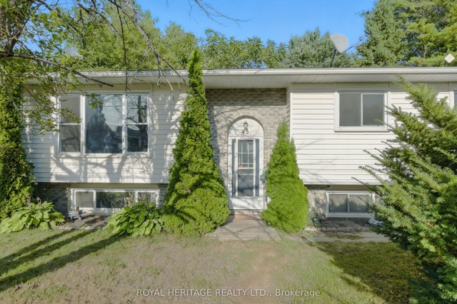 45 Maplewood Avenue, Brighton