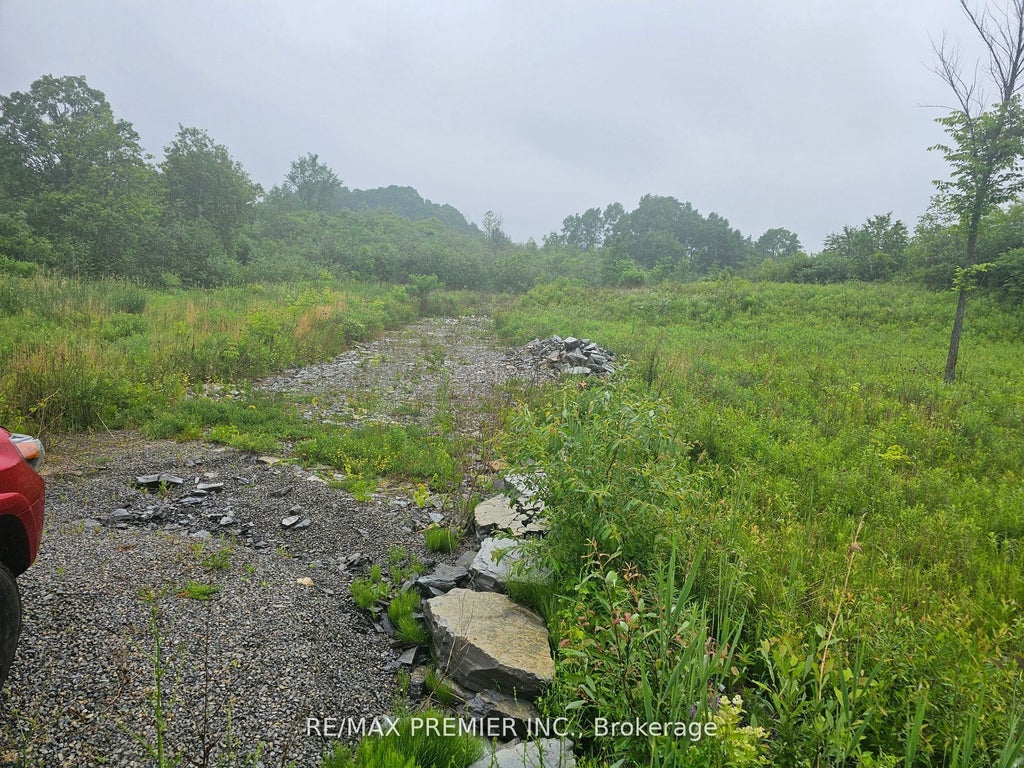 3180 Fourth Concession Road, Kingston