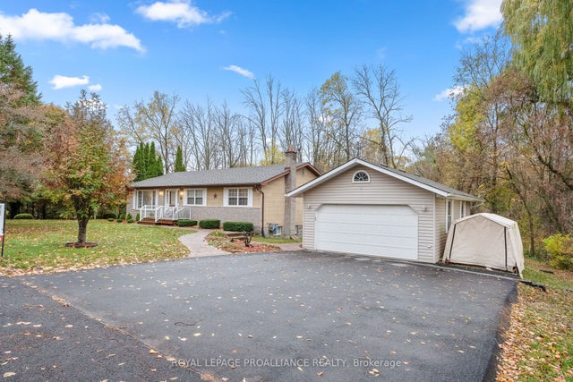 260 Drewery Street, Brighton