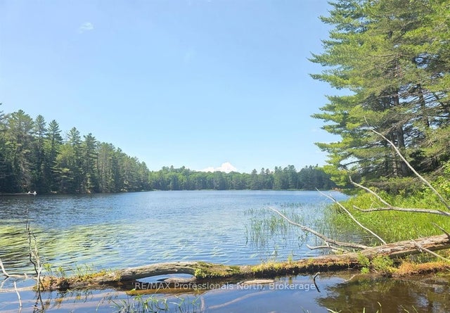 1134 Walkers Line Road, Algonquin Highlands