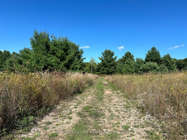 Pt/lt13 Belmont Concession, Havelock-Belmont-Methuen