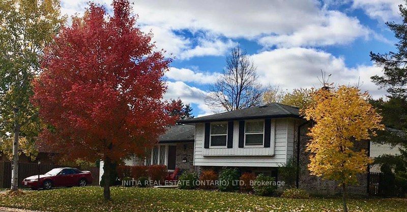 Photo of Listing #X12544114