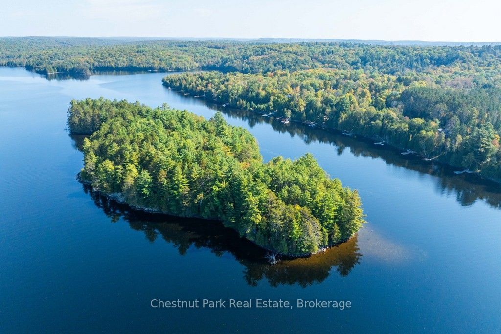 10000 Soyers - Brown Island N/a, Minden Hills