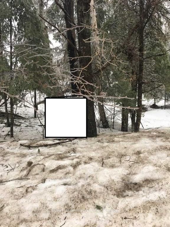 1173 South Baptiste Lake Road, Hastings Highlands