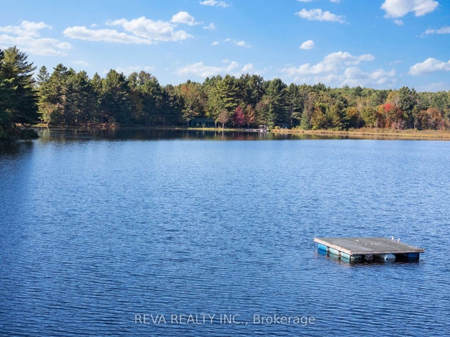 368 Addington Road, Addington Highlands