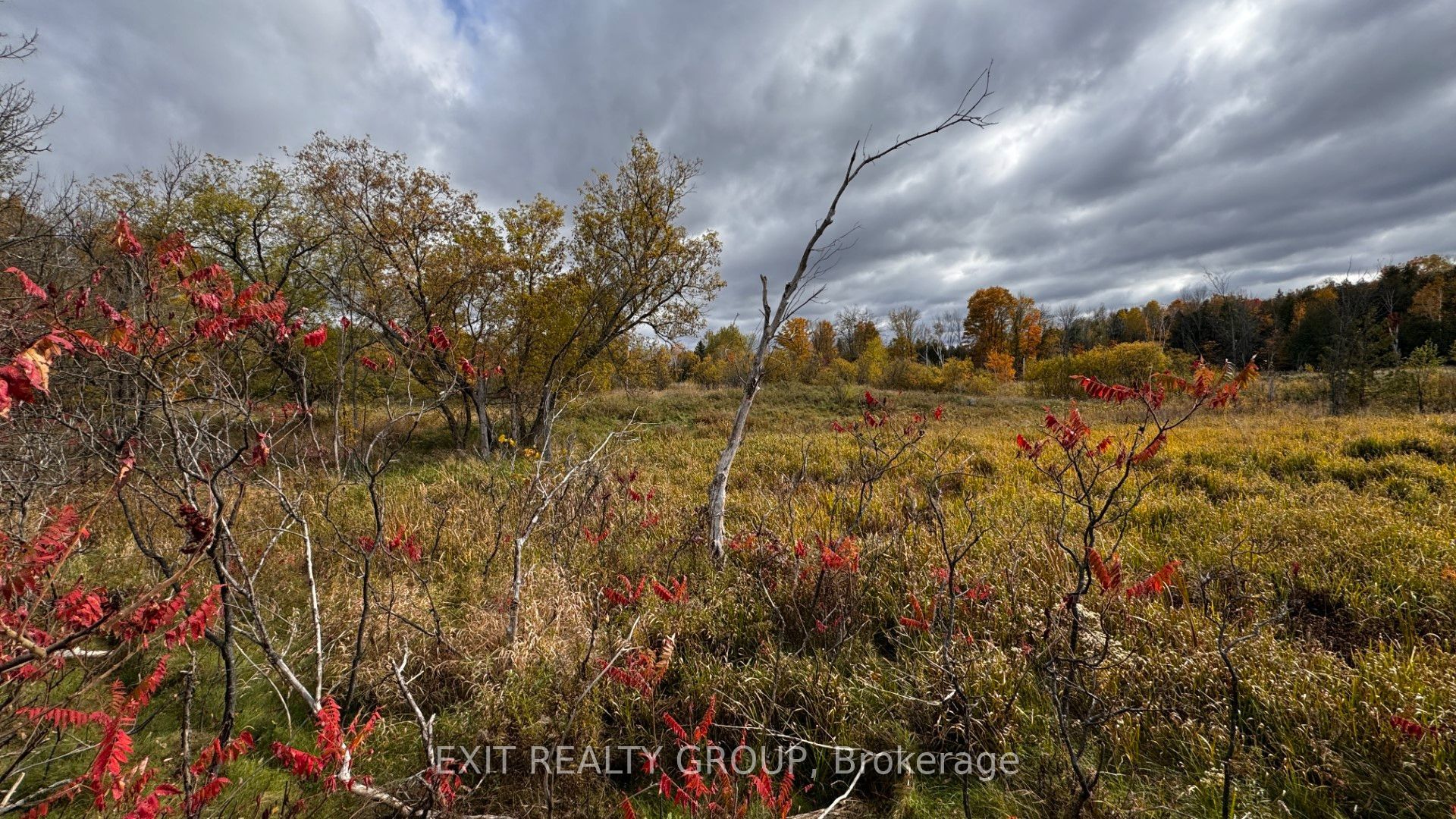 1989 Elm Tree Road Home for Sale London Ontario Real Estate