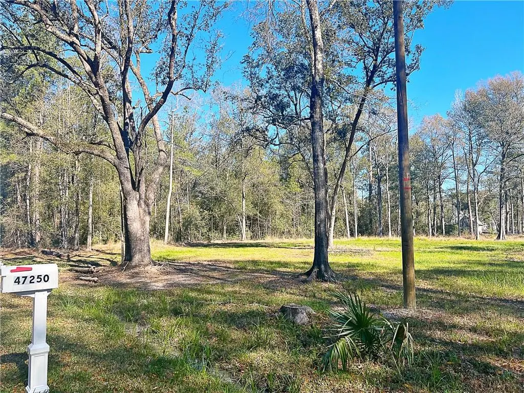 Photo of Listing #2457207