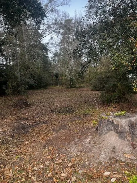 Photo of Listing #2484656