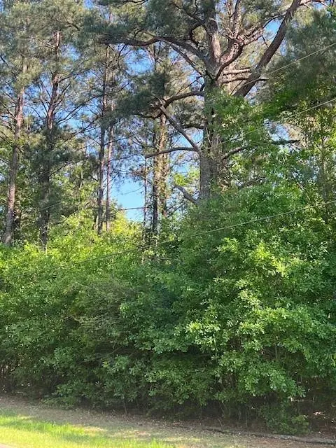 Photo of Listing #2496797