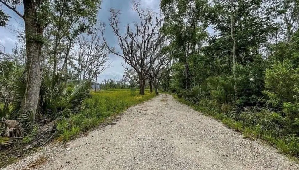 Photo of Listing #2499291