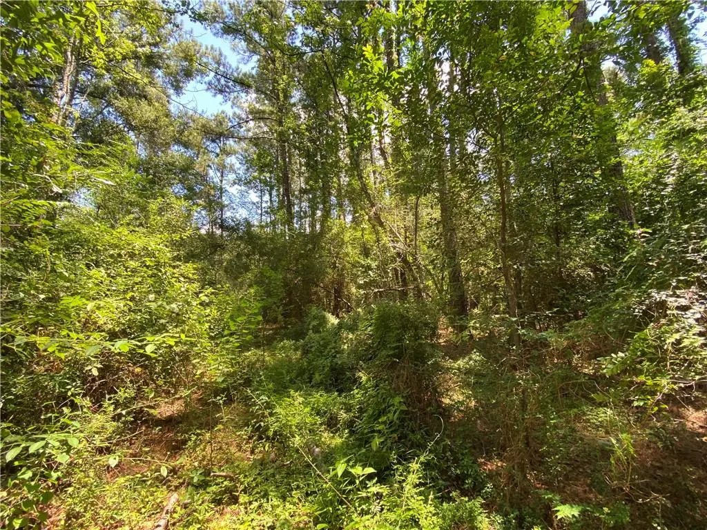 Photo of Listing #2505328