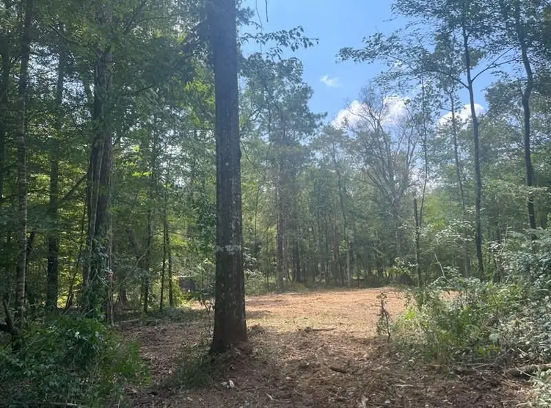 Photo of Listing #2517999