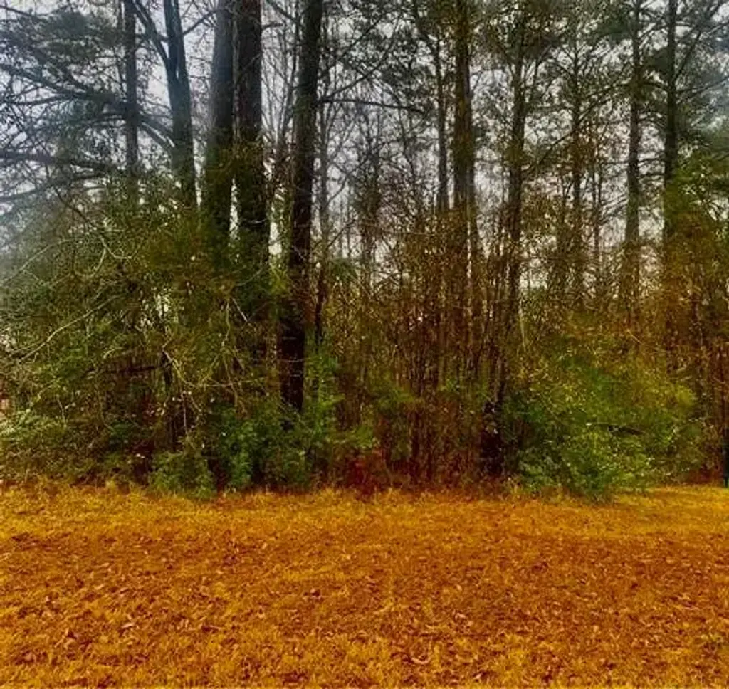 184 Wildwood Dr , Pineville