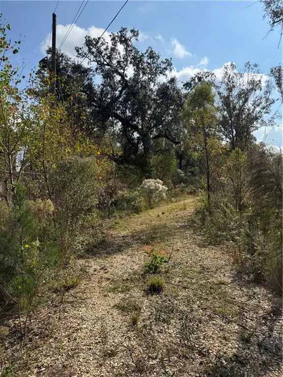 Photo of Listing #2531959