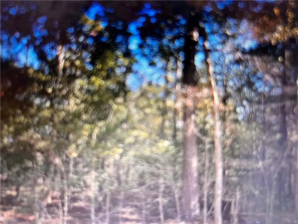 Photo of Listing #2532268