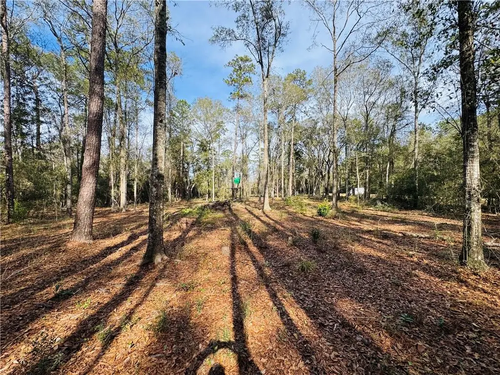 Photo of Listing #2535692