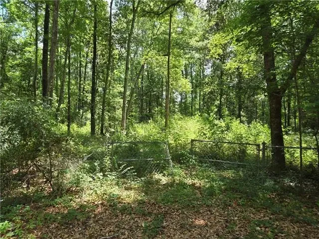 Photo of Listing #2536675