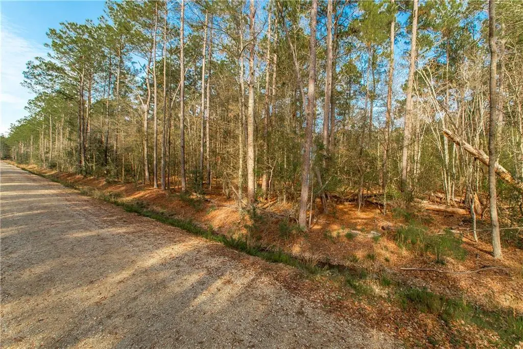 Photo of Listing #2538311