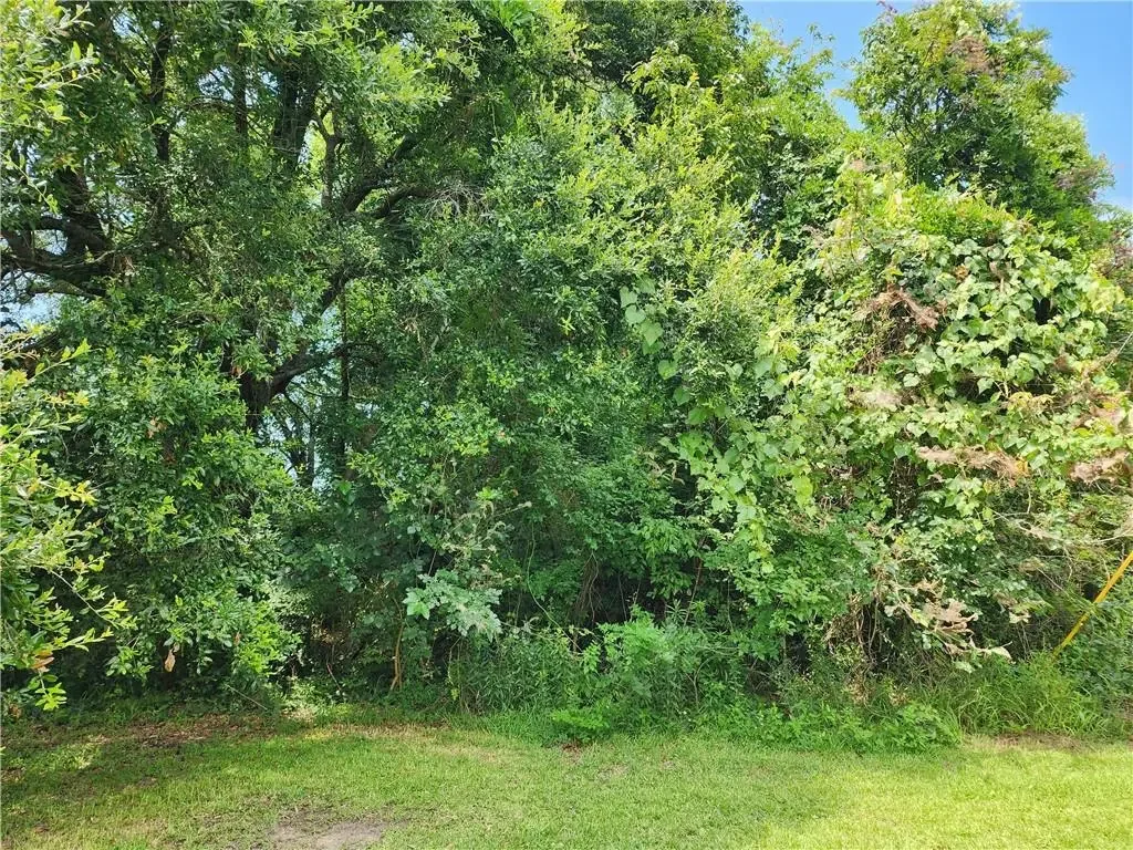 Photo of Listing #2539334