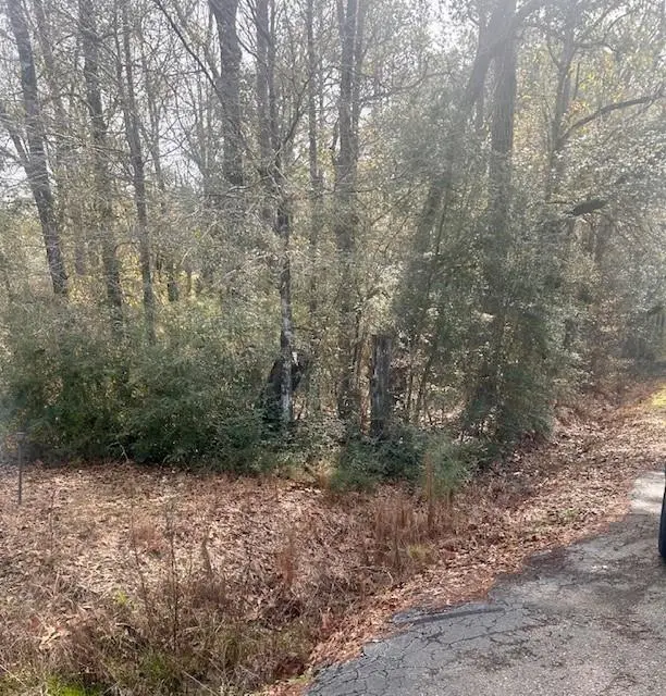 Photo of Listing #2541433