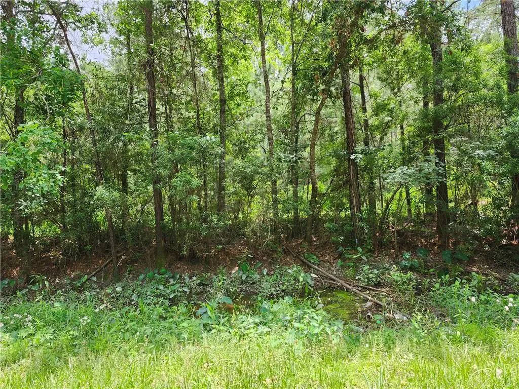 Photo of Listing #2554173