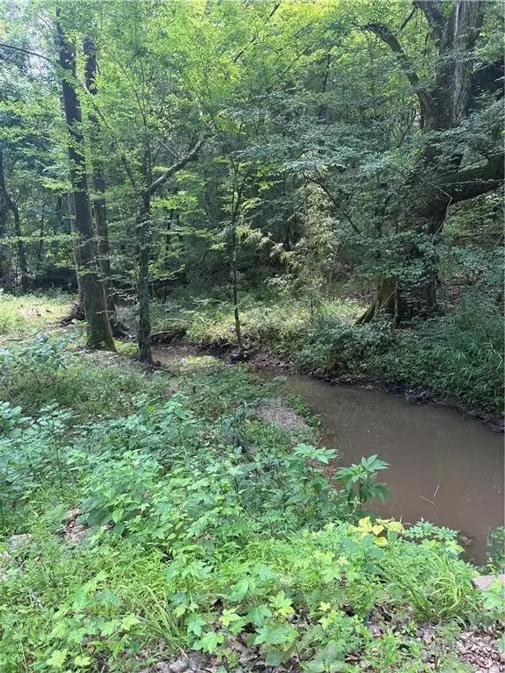 Gin Rd , Pineville