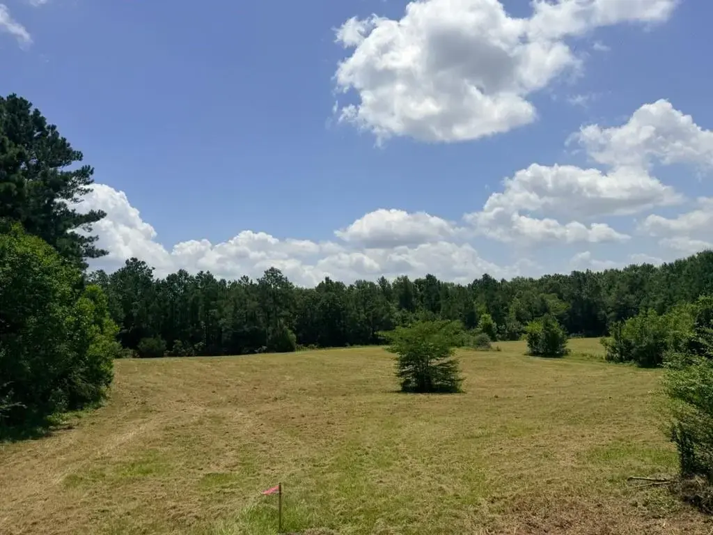 1916 Bayou Maria Rd , Pineville