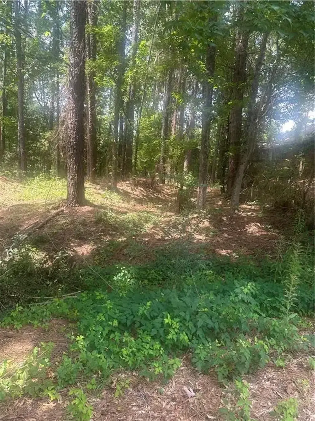 110 Seneca Ct , Pineville