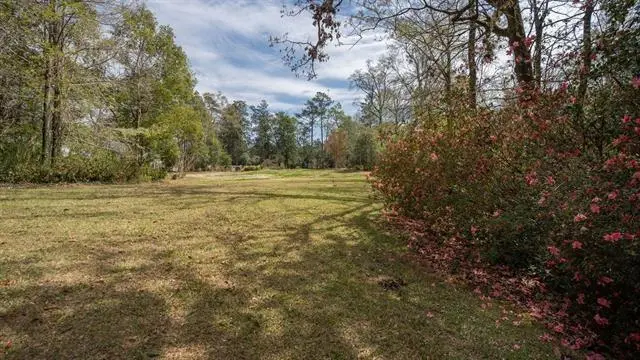 Photo of Listing #2569316