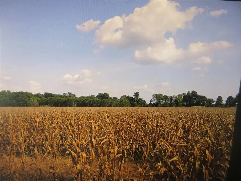 Tbd Hot Wells Rd , Boyce