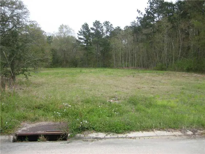 Photo of Listing #972183