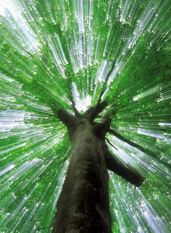 Photo of Listing #2111689