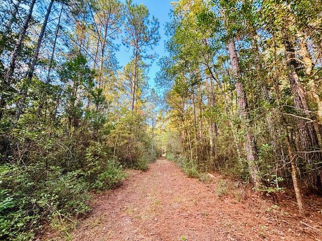 15 Acres E Moran Road, Pearl River