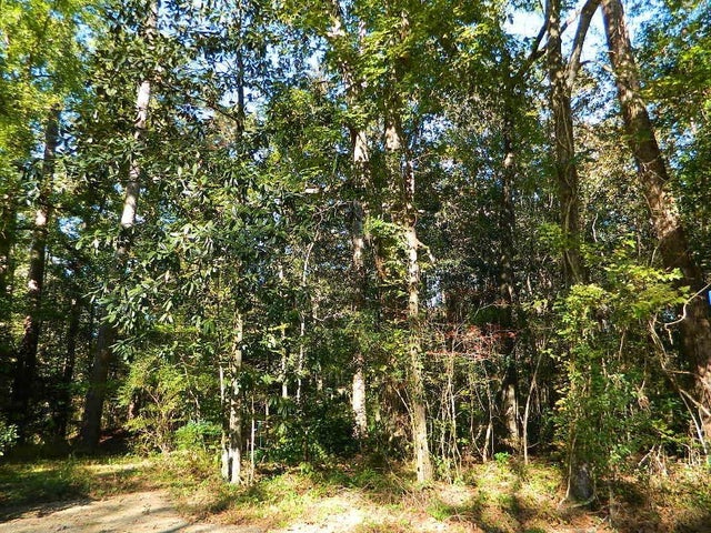 West Of Sunset Drive, Covington