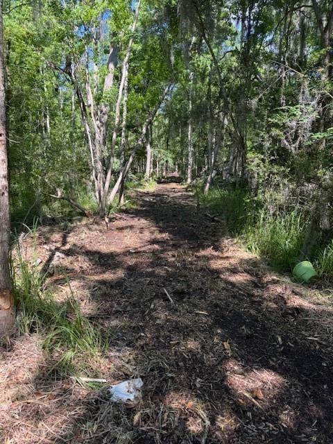 Copal Street, Mandeville