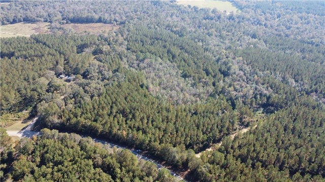 186 Acres Highway 436 Hy, Angie