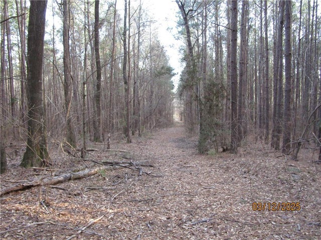 Obie Smith Road, Atlanta