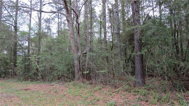 Camus Lane, Covington