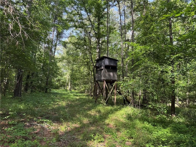 2550 Rosemary Road, Terry