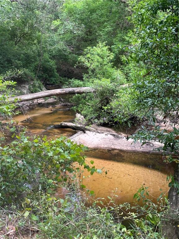 52116 Thigpen Road, Franklinton