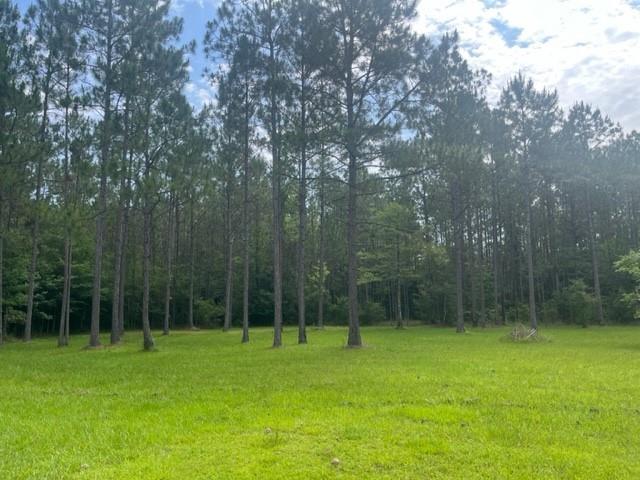 13050 Boyd Road, Covington