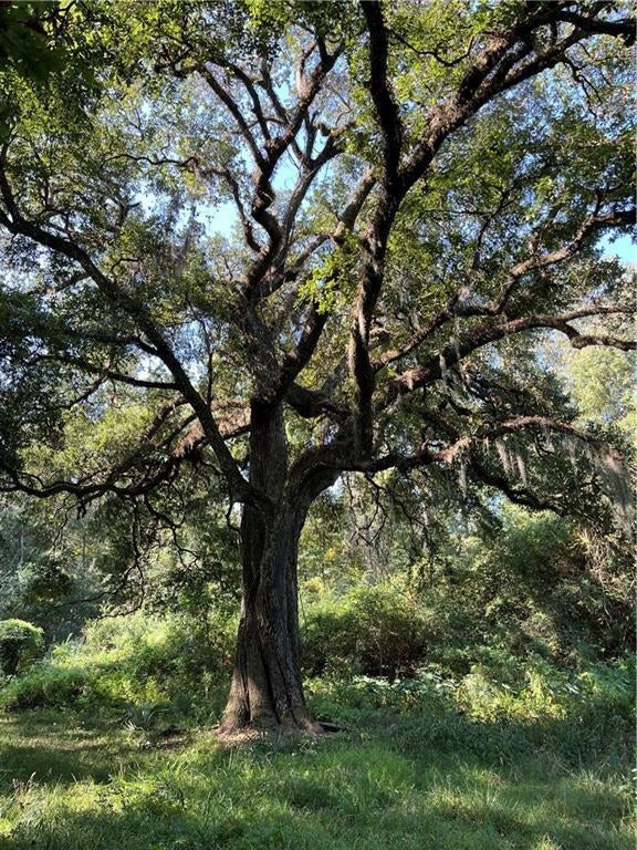 Highway 42 Hy, Prairieville