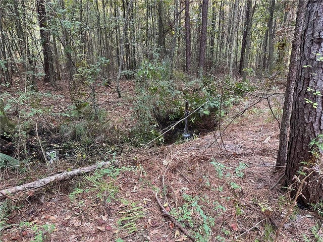 Cow Lane, Ponchatoula