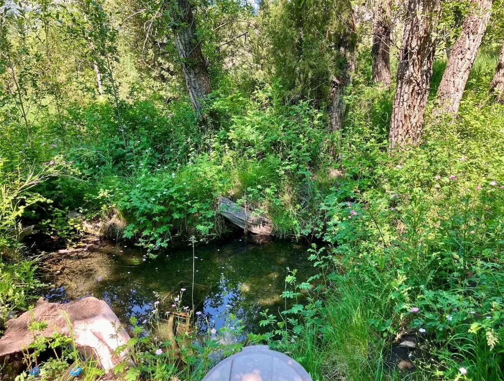 192 Johnson Road, Silverthorne