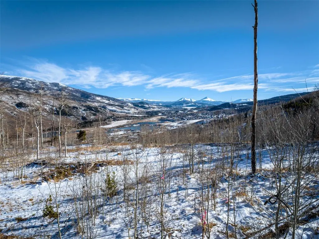Tbd Whetstone Drive 1, Silverthorne