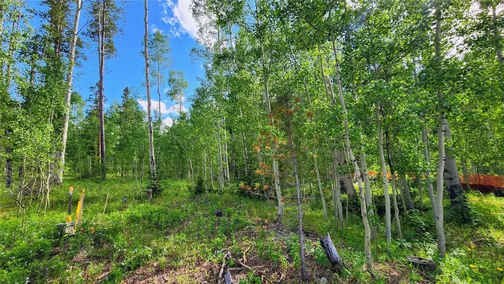 552 Temple Trail, Frisco