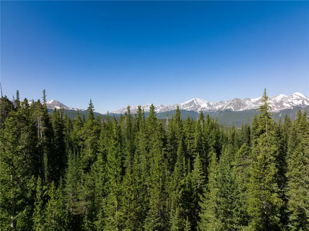 Homestead 21 Cumberland Drive, Breckenridge