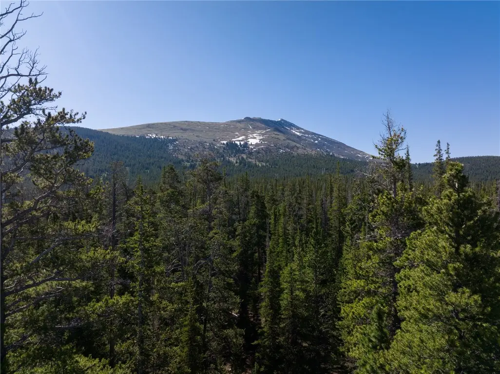 Homestead 16 Cumberland Drive, Breckenridge