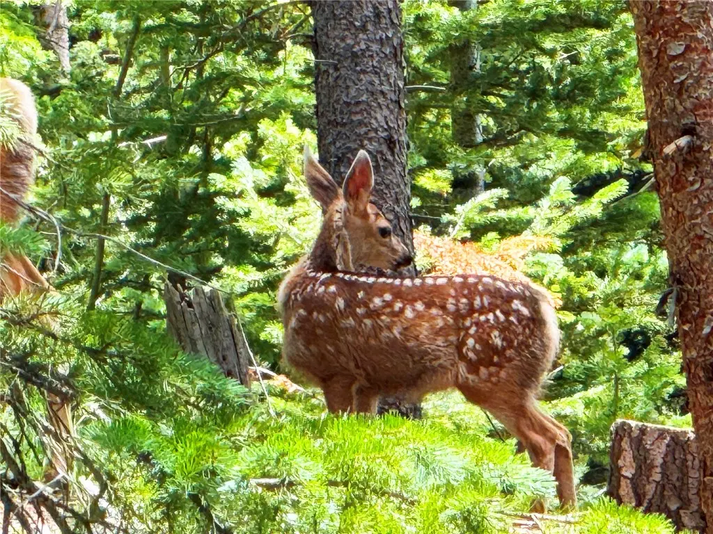 926 Nuthatch Drive, Alma