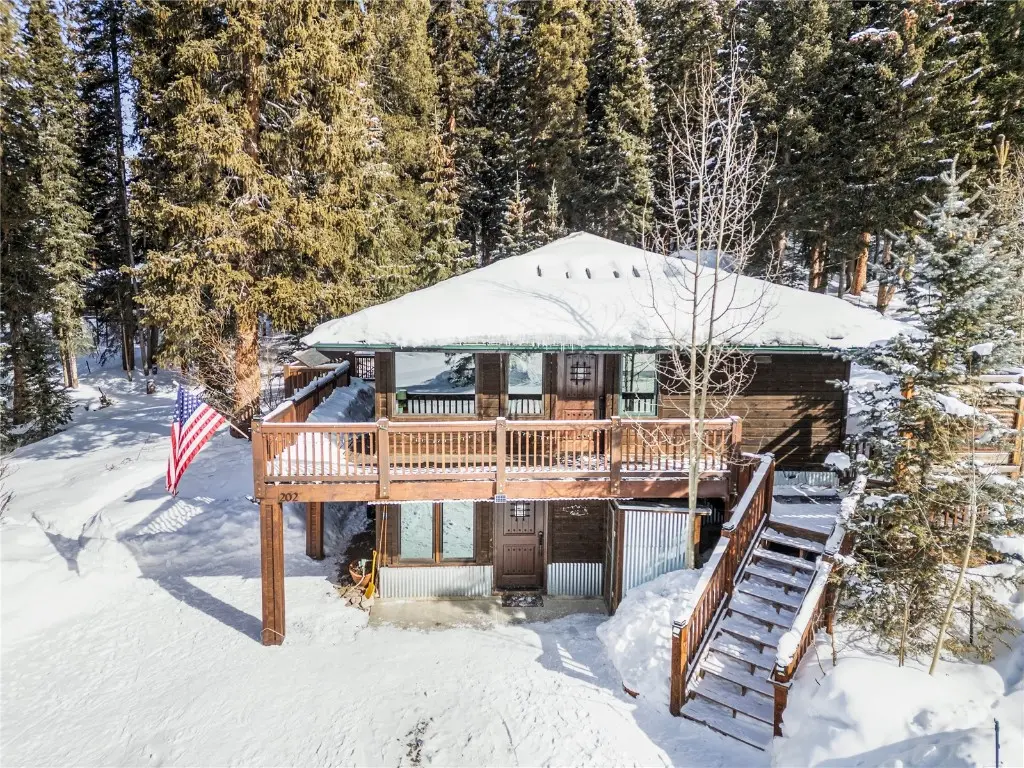 202 Doris Drive, Breckenridge